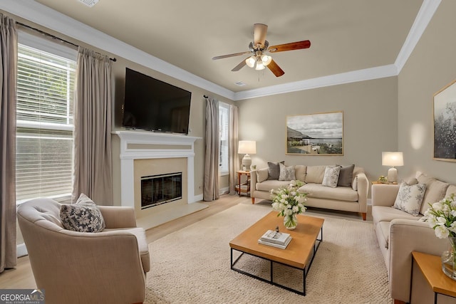 living room with crown molding, ceiling fan, and light hardwood / wood-style flooring