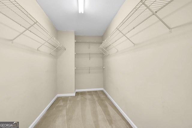 walk in closet featuring carpet