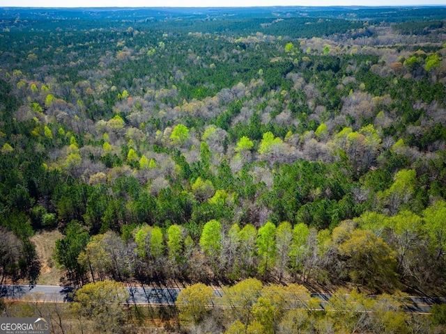 967 Johnny Miller Rd, Buena Vista GA, 31803 land for sale