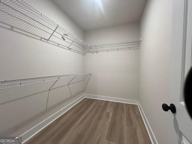 walk in closet featuring dark wood-type flooring