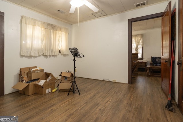 interior space with ceiling fan and dark hardwood / wood-style floors