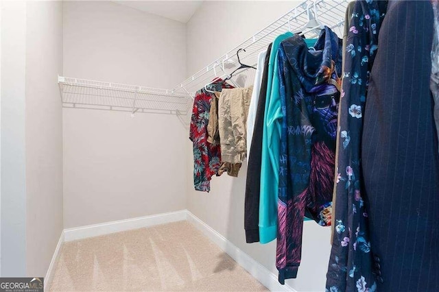 spacious closet featuring carpet flooring