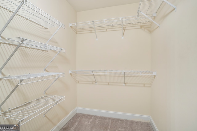 spacious closet featuring carpet floors