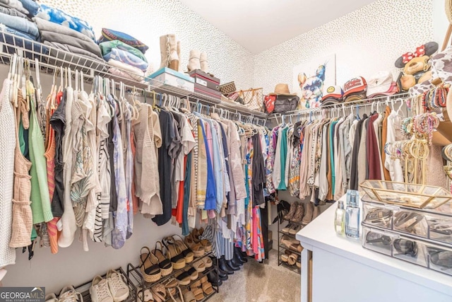 spacious closet featuring carpet