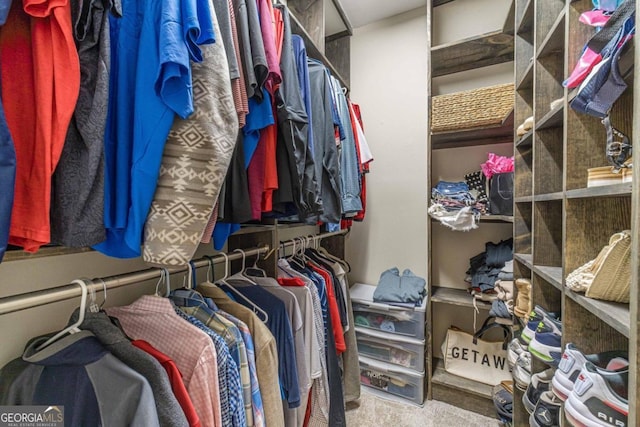 walk in closet featuring carpet flooring