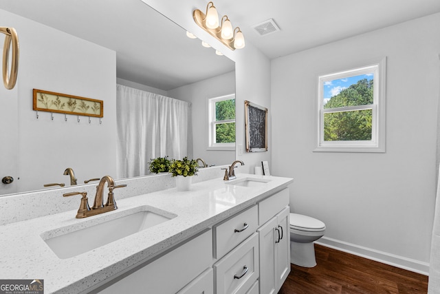 bathroom with vanity, toilet, and hardwood / wood-style flooring