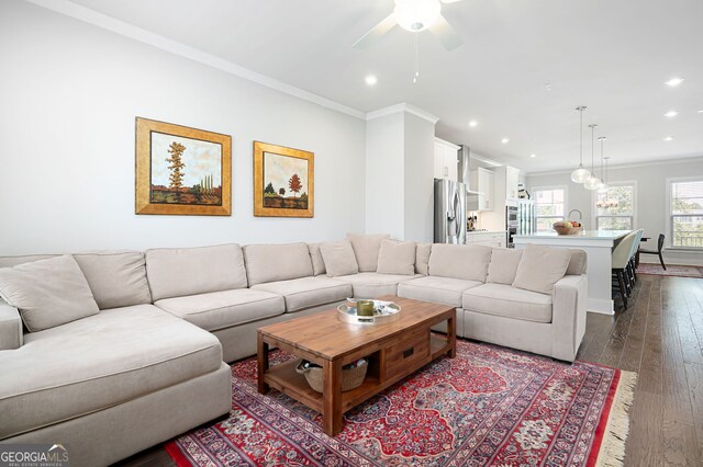 living room featuring ceiling fan, crown molding, and dark wood-type flooring