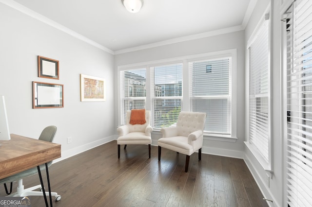 interior space featuring crown molding and dark wood-type flooring