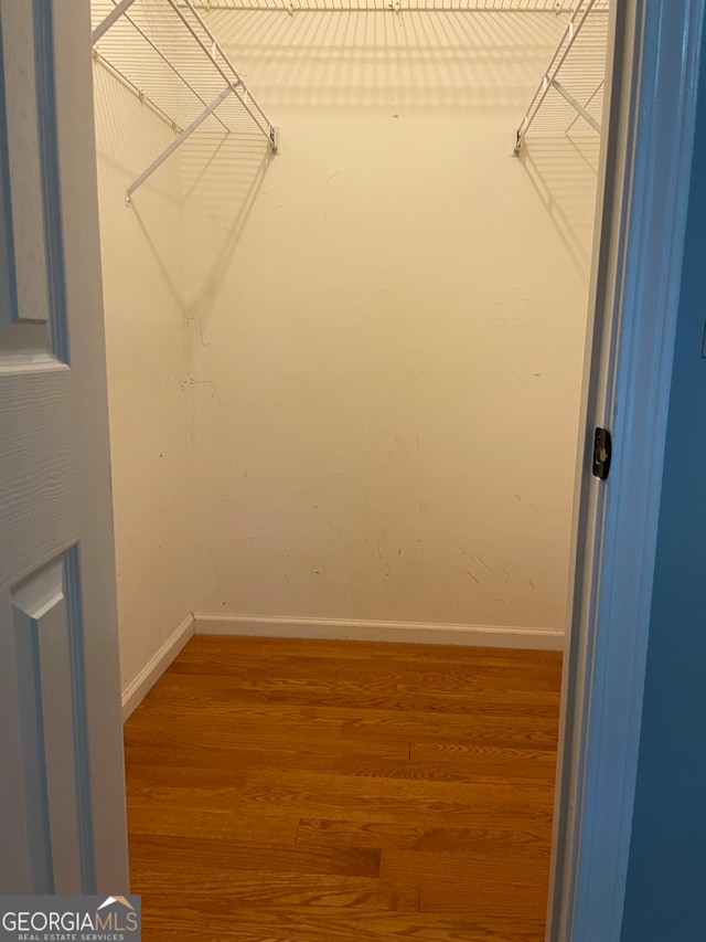 walk in closet with hardwood / wood-style flooring