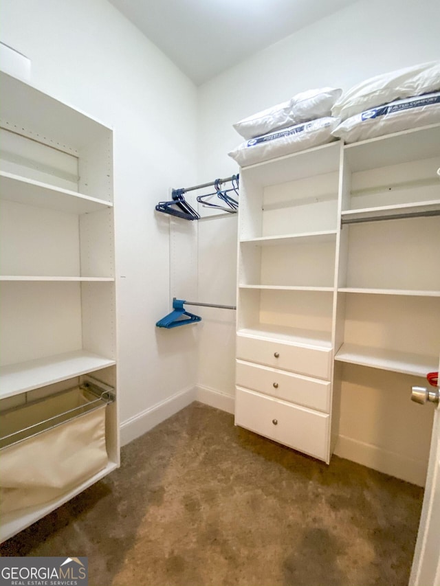 spacious closet featuring carpet