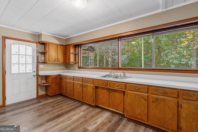 kitchen with light wood-type flooring, ornamental molding, and a healthy amount of sunlight