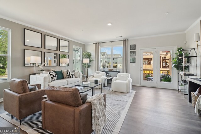 living room featuring wood-type flooring and ornamental molding