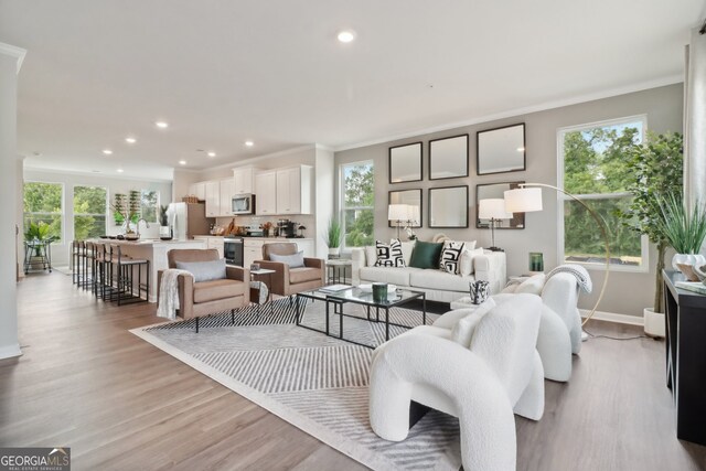 living room with light wood-type flooring, crown molding, and plenty of natural light