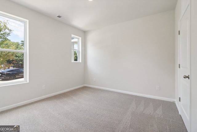 carpeted spare room with a wealth of natural light