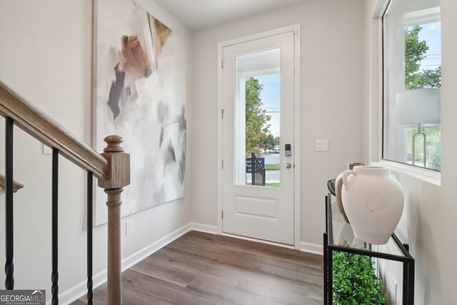 entryway featuring hardwood / wood-style floors and plenty of natural light