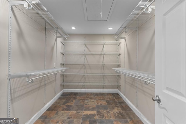 view of spacious closet