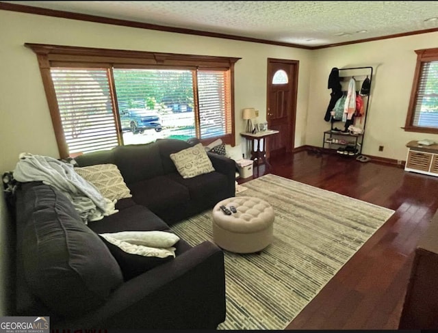 living room with ornamental molding, a textured ceiling, and dark hardwood / wood-style flooring