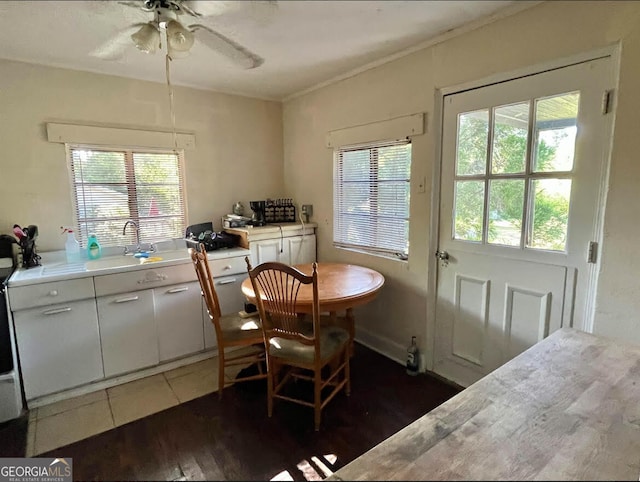 dining room with ceiling fan, sink, plenty of natural light, and dark hardwood / wood-style flooring