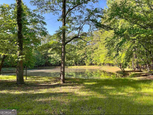 view of yard featuring a water view