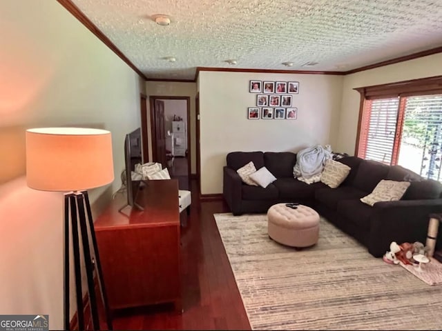 living room with hardwood / wood-style flooring, ornamental molding, and a textured ceiling