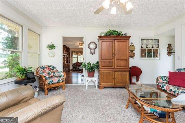 carpeted living room with ceiling fan and a textured ceiling