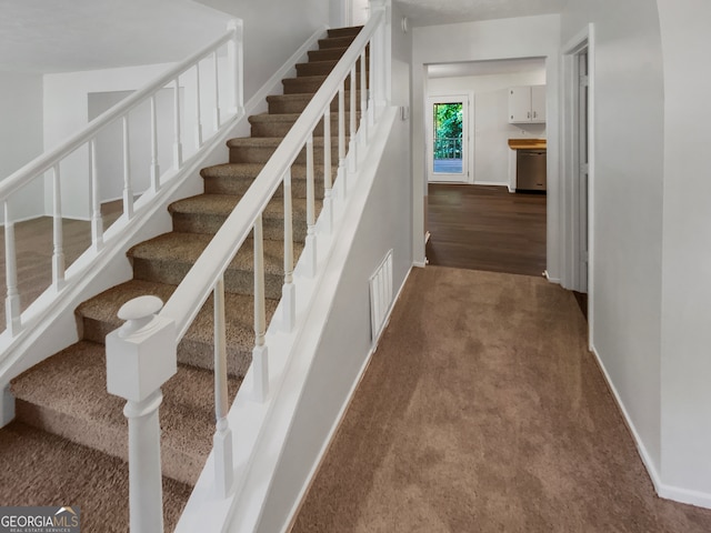 stairway featuring carpet floors