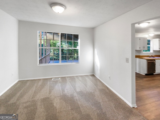 spare room with a textured ceiling, sink, and carpet floors