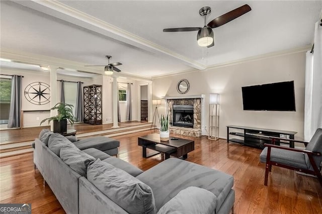 living area featuring ceiling fan, a fireplace, wood finished floors, and crown molding