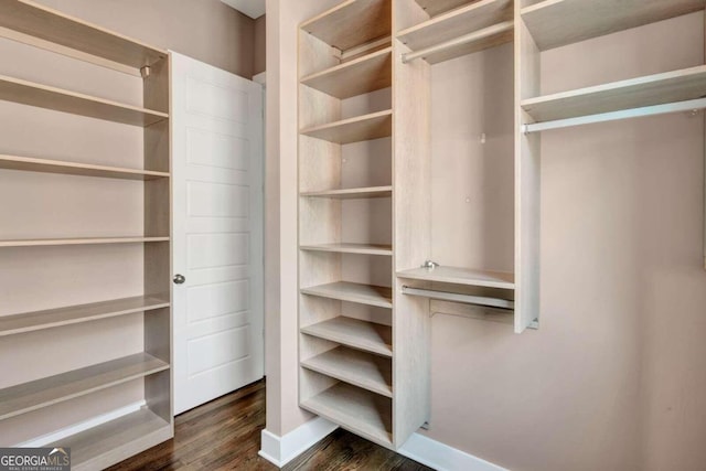 spacious closet with dark hardwood / wood-style floors