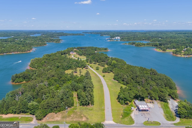 Listing photo 3 for 0 Sidney Pt Phase Ii, Phase Ii, Hartwell GA 30643