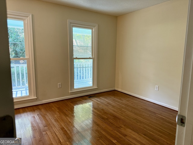 empty room with a wealth of natural light, a textured ceiling, and wood-type flooring