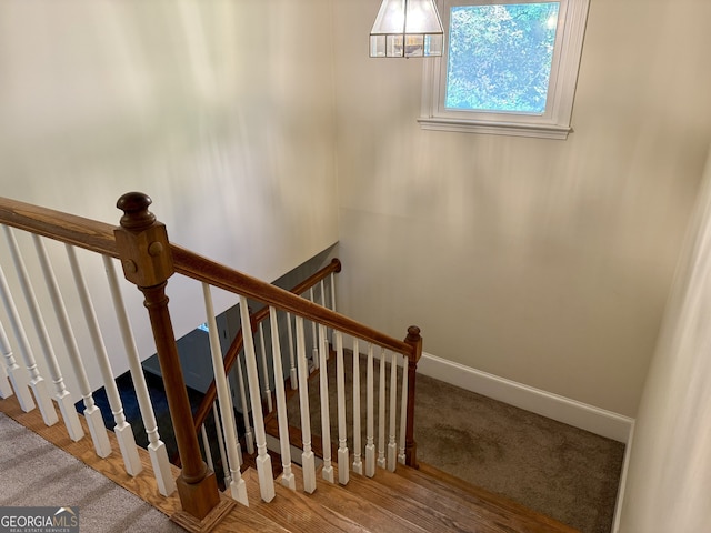 stairway with hardwood / wood-style floors