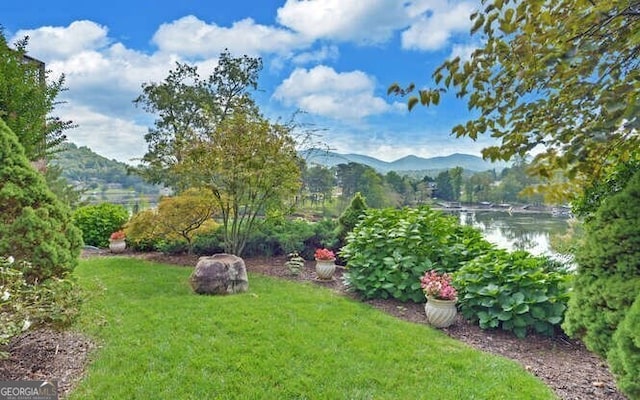 view of yard with a water and mountain view