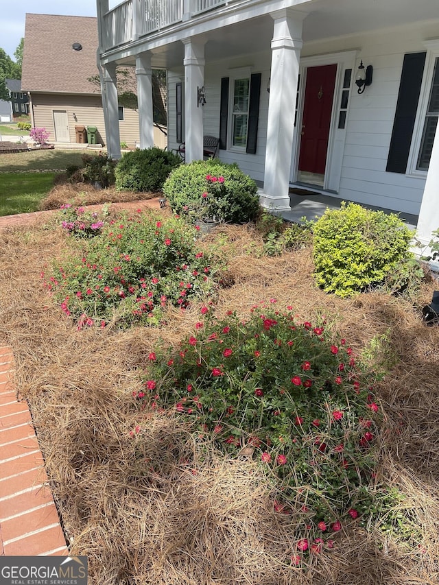 231 Parkview Dr, Cartersville, GA 30120 - view of yard featuring a porch
