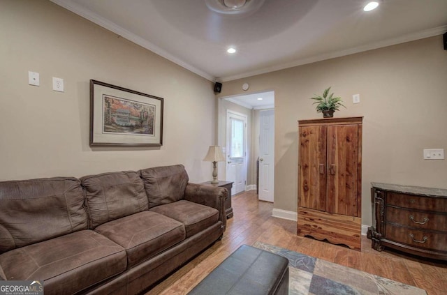 living room featuring crown molding and light hardwood / wood-style floors