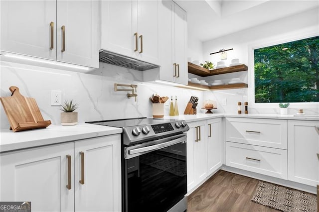 kitchen with white cabinetry, stainless steel electric range, tasteful backsplash, light stone countertops, and hardwood / wood-style flooring