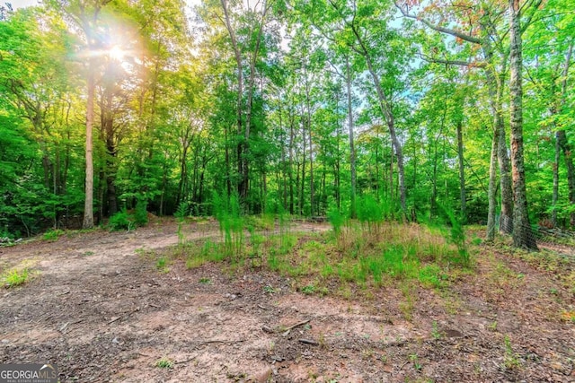 1.77 Mount Carmel Trl, Morganton GA, 30560 land for sale