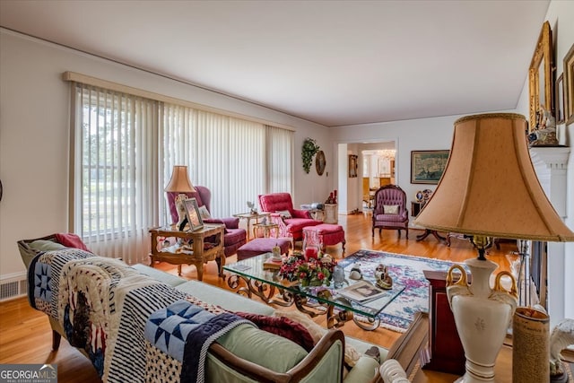 living room with hardwood / wood-style flooring and plenty of natural light