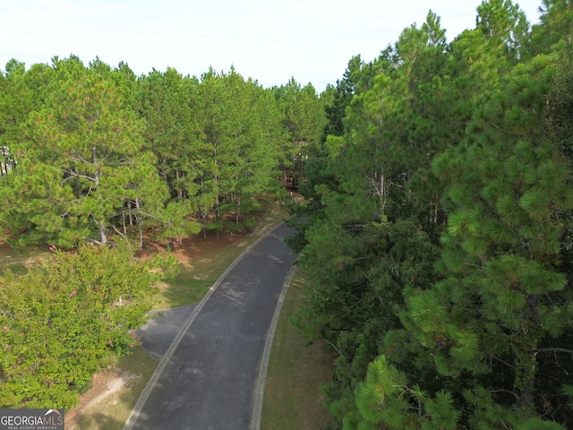 Listing photo 3 for 0 Deer Creek Dr, Swainsboro GA 30401