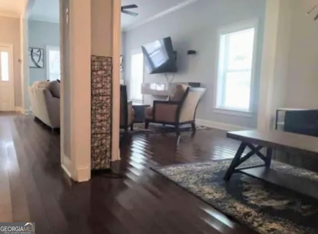 interior space with dark hardwood / wood-style floors, ceiling fan, and crown molding