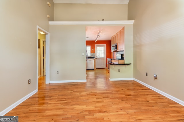 unfurnished living room with light hardwood / wood-style flooring and a high ceiling