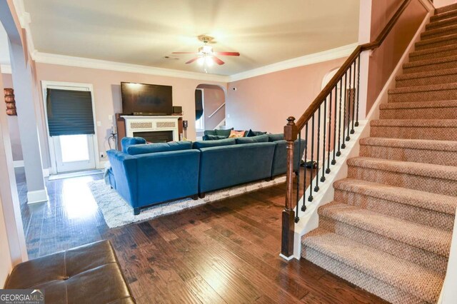 living room featuring ornamental molding, ceiling fan, and dark hardwood / wood-style floors