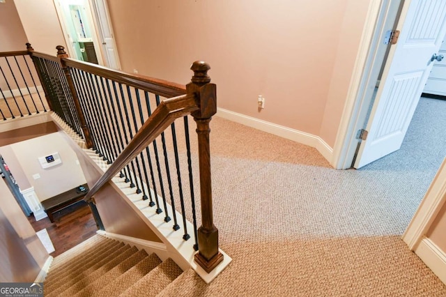 staircase featuring carpet