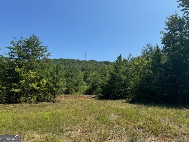 PARCEL1 Cherokee Hills Dr Unit 125Acres, Rydal GA, 30171 land for sale