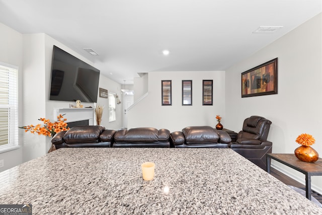 living room with wood-type flooring