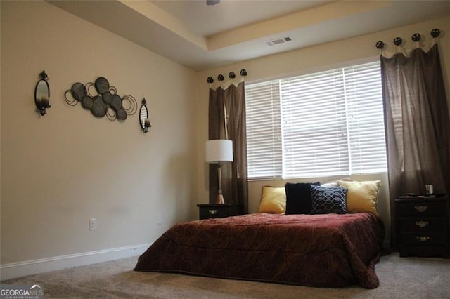 carpeted bedroom with a raised ceiling