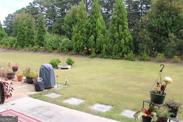 view of yard featuring a patio area