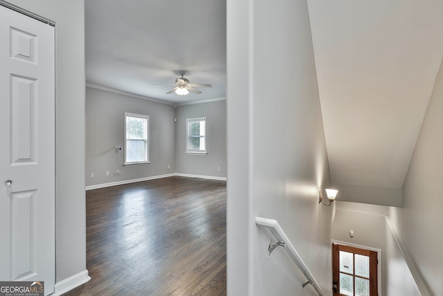 interior space with ornamental molding, ceiling fan, and dark hardwood / wood-style floors