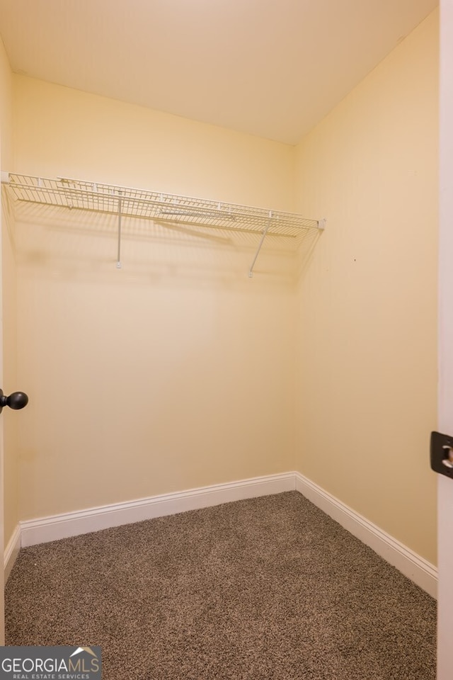 spacious closet with carpet floors