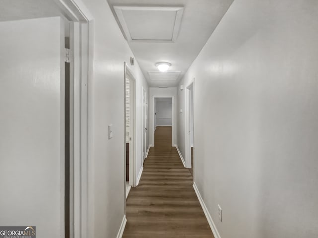 hall featuring dark wood-type flooring